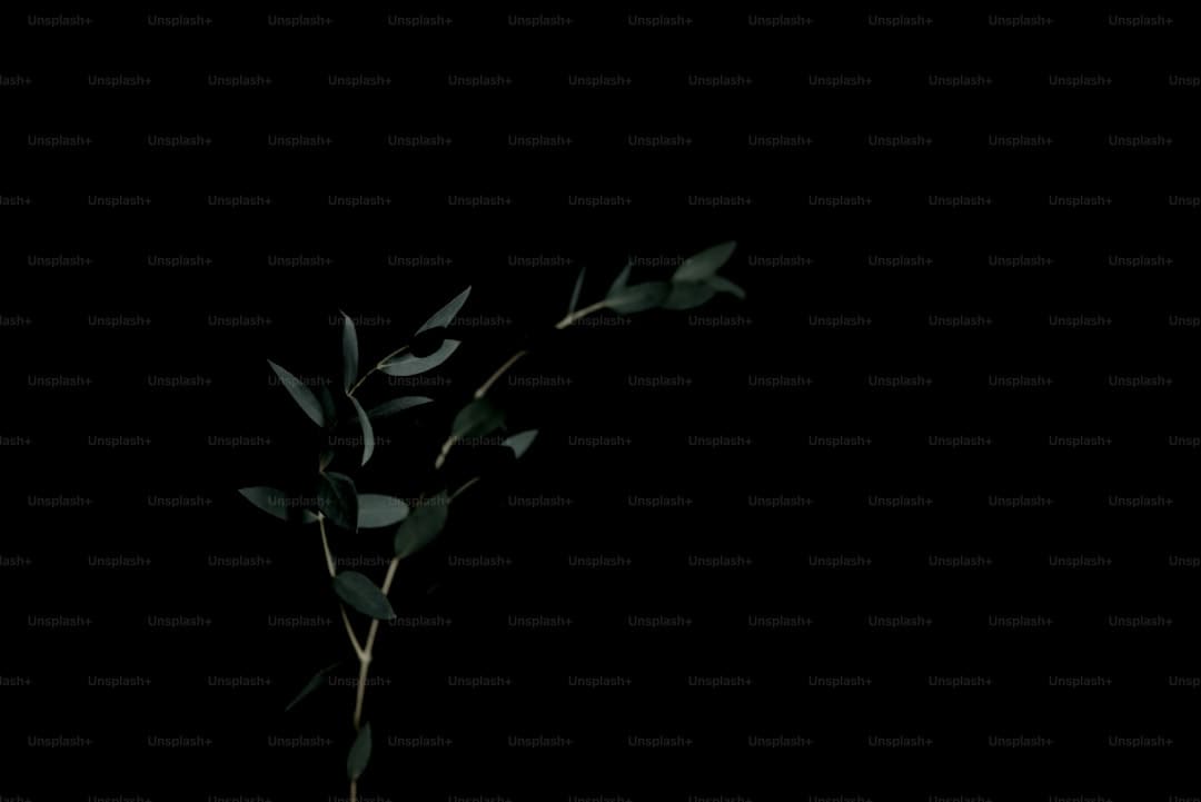《归队》福庆角色介绍